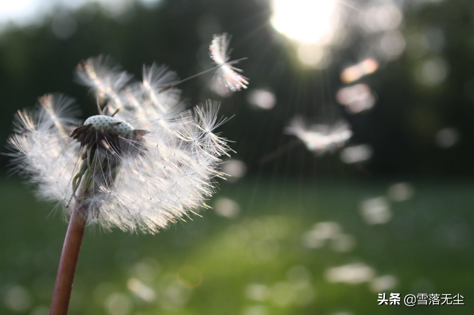 一个女人的心被伤透了（女人心被伤透打算离开的“表现”）