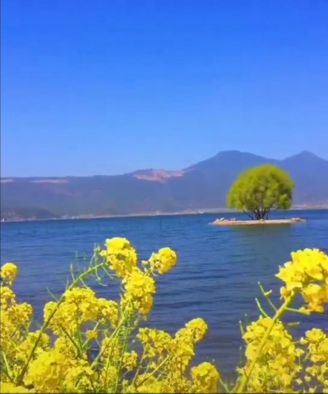挽回婚姻的情感（挽回的婚姻如何更好的相处）