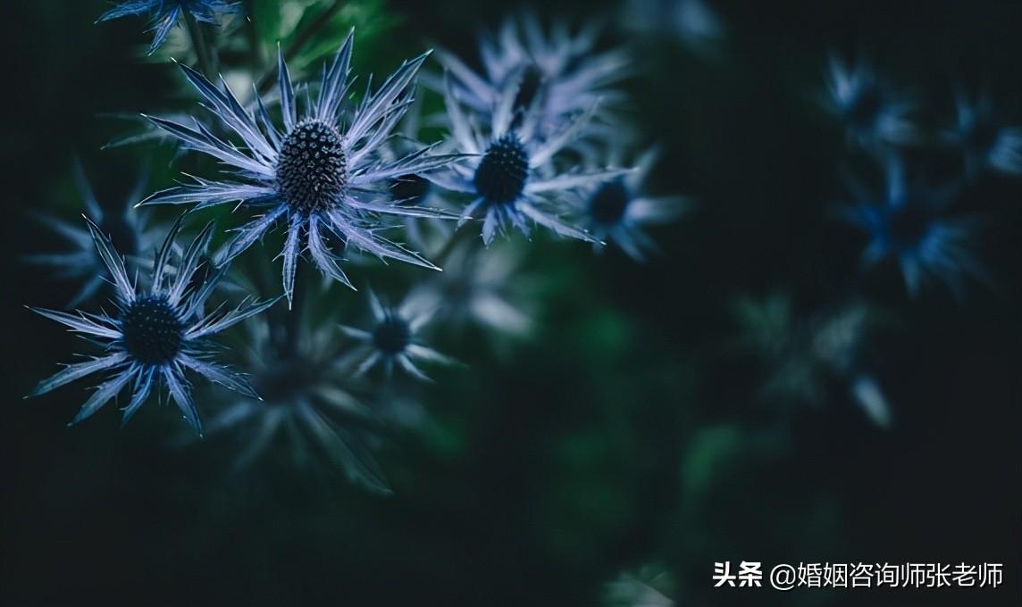 出轨后怎么调整自己（遭遇出轨后如何调整自己？）