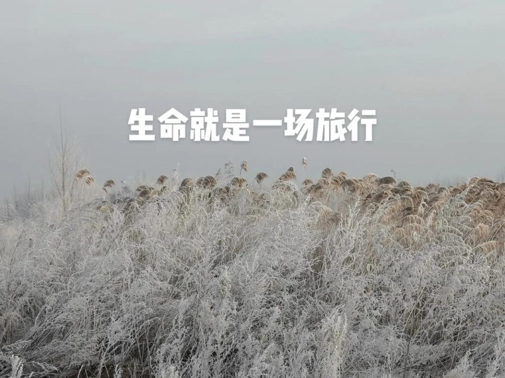 婆婆刷鞋掉河里怎么办