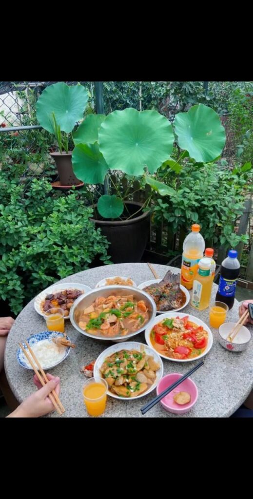 吃饭婆婆翻桌子怎么办视频,婆婆翻桌子的原因