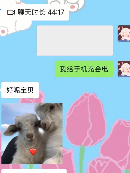 岁见弟弟跟女朋友闹矛盾,相差2个月的姐弟恋