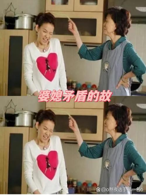 韩国明星婆婆矛盾视频播放,韩国儿媳东北婆婆是什么综艺