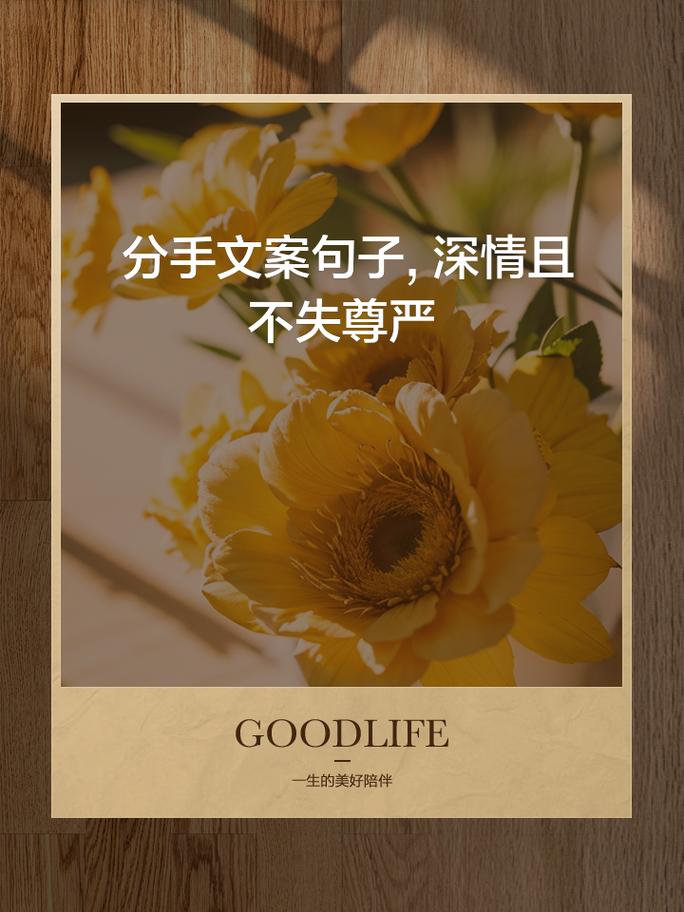 明明很爱对方可是还是分手了文案,爱而不得的文案高级