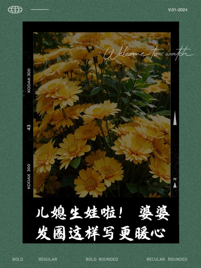生孩子丑婆婆打儿媳怎么办,婆家看不上儿媳的原因