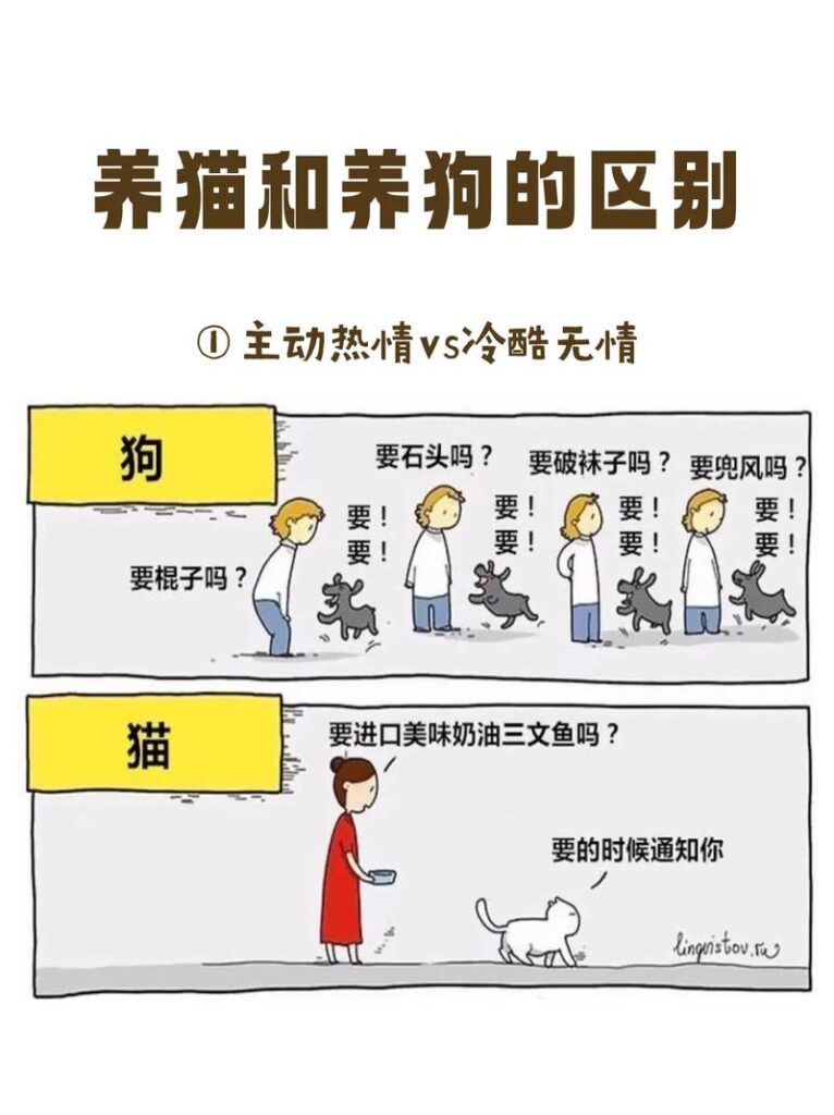 和女朋友因为养猫产生矛盾怎么办,两口子因为养猫产生矛盾怎么办