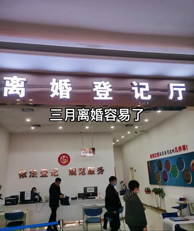 离婚找法务代理可靠吗,法务代理,你的婚姻守护神