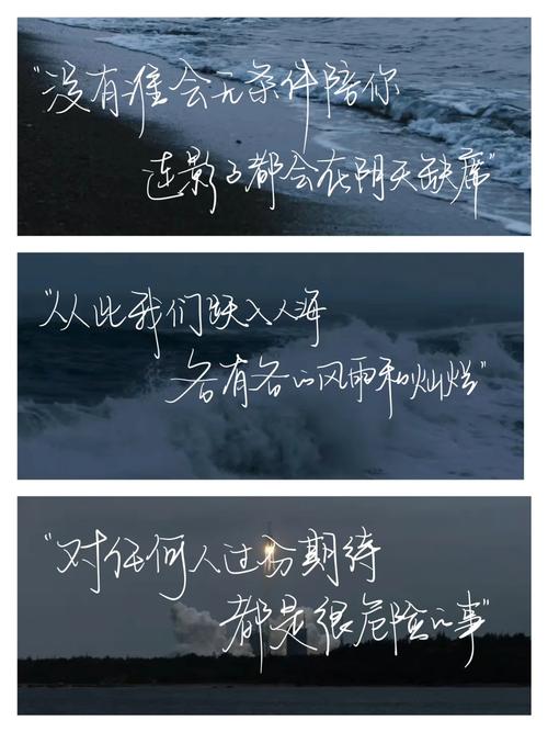 分手了出来一条狗怎么处理,情感的纽带，还是分手的导火索？