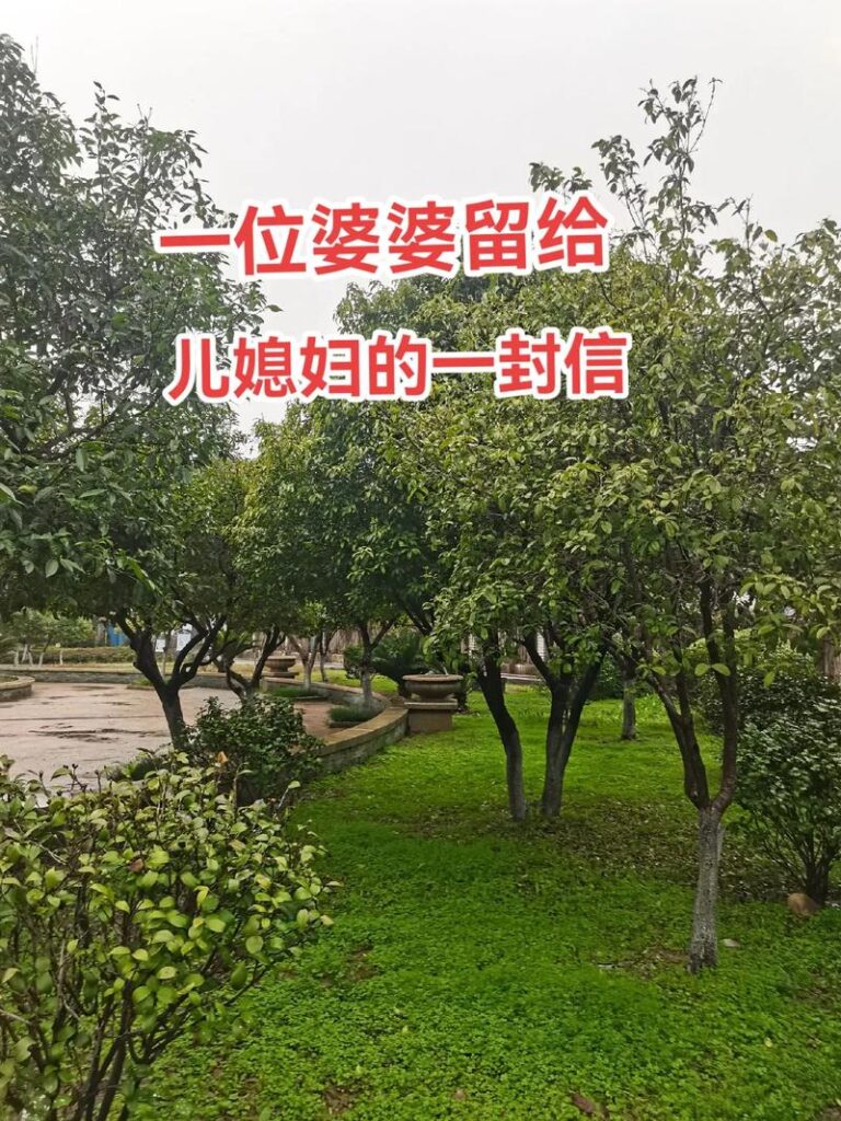 婆婆找媳妇矛信怎么解决,媳妇跟婆婆闹矛盾应该怎么处理