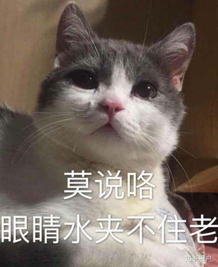 女朋友让我滚怎么办,面对女友“让我滚”的智慧回应