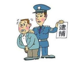 男朋友被拘留了怎么办,法律援助与情感支持指南