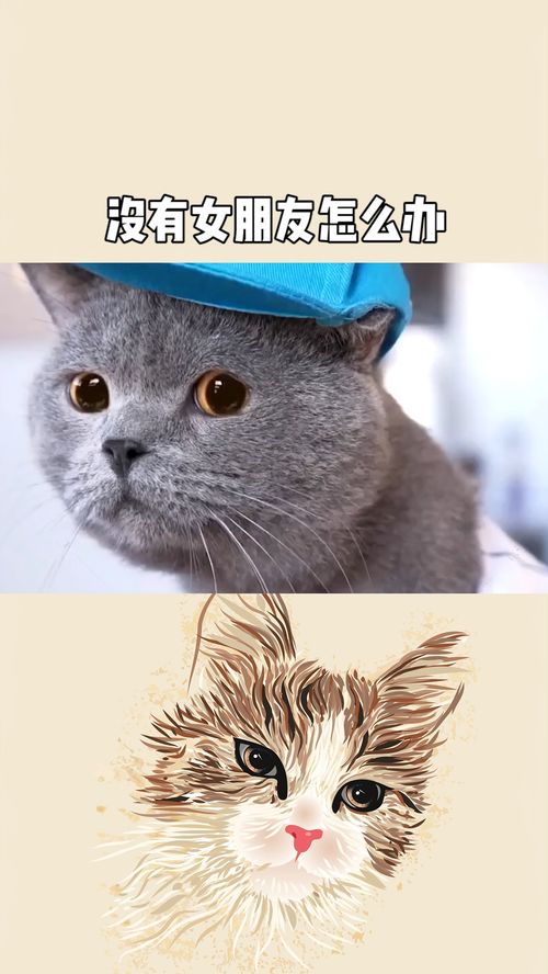没有女朋友怎么办,破解没有女朋友的困惑与对策