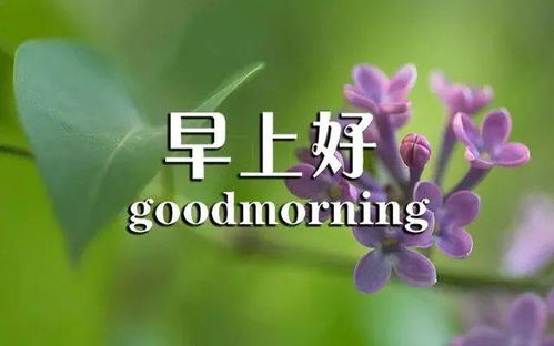 怎么和女朋友说早上好,开启与女朋友的美好一天