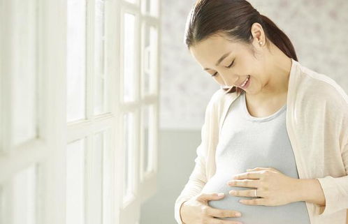 女朋友怀孕了她不想要怎么办,共同探讨解决方案与支持之道