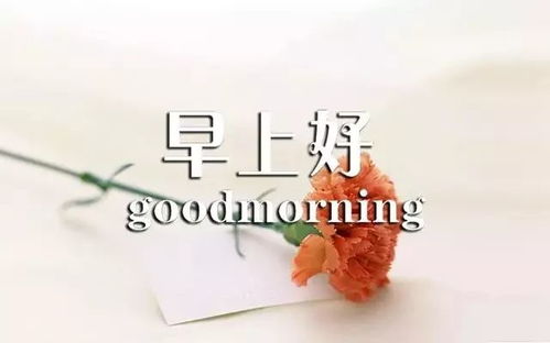 怎么和女朋友说早上好,开启与女朋友的美好一天