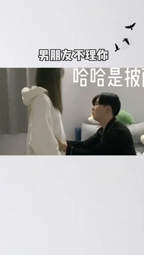 如果男朋友不理你怎么办,实用策略助你化解情感困境