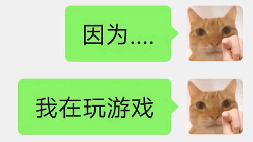 女朋友不接电话怎么哄,女友不接电话的温馨哄回攻略