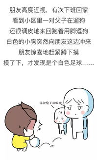 男朋友硬不起来怎么办,实用攻略与建议