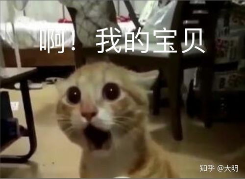惹女朋友生气了怎么哄,实用哄女友生气攻略
