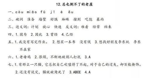 老公拼音怎么写,探寻“老公”背后的温馨故事
