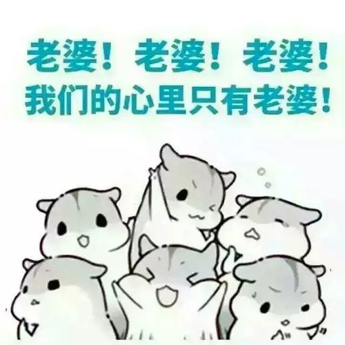 怎么哄生气的老婆,实用哄妻攻略全解析