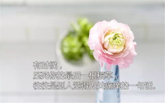 早安老婆英语怎么说,向老婆表达清晨爱意的英语情话精选