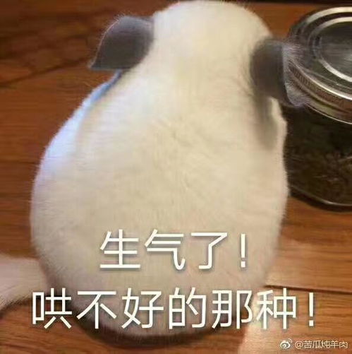 怎么哄生气的老公,五大妙招哄好生气老公