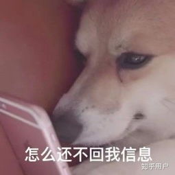 男朋友问在干嘛怎么回,让对话充满甜蜜与趣味”