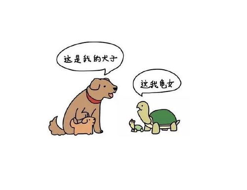 儿子的老婆怎么称呼,传统与现代的交融