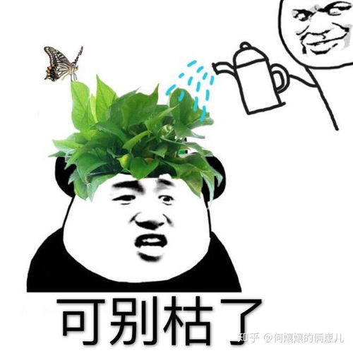 对老婆没有感觉怎么办,如何应对性冷淡的困扰