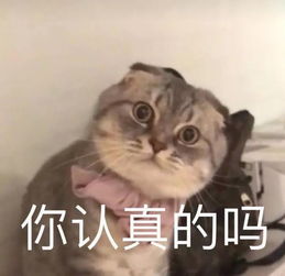 老婆的法语怎么写,法语中如何表达“我老婆”