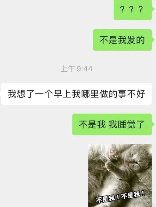 问女朋友在干嘛怎么说,女朋友问你在干嘛的高情商技巧”