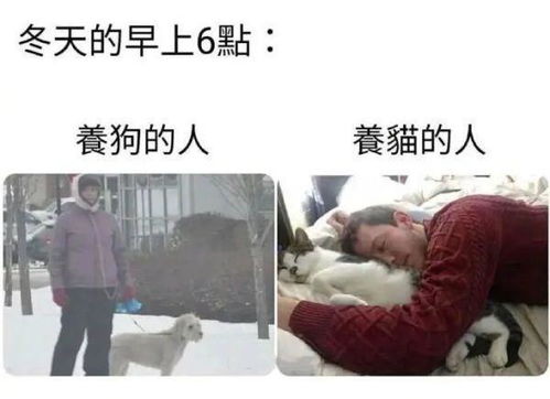 女朋友不会接吻怎么办,帮助女朋友适应接吻的艺术”