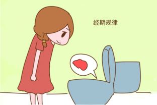 女朋友经期不规律怎么办,全面解析与实用建议”