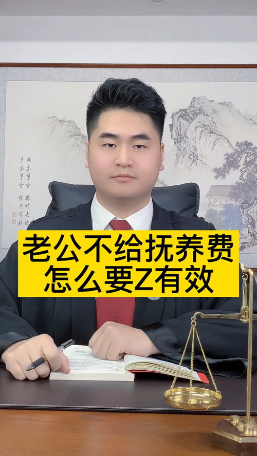 老公不给抚养费怎么办,离婚后老公不付抚养费?法律途径与应对策略全解析