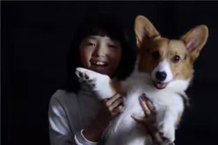 女朋友狗死了怎么安慰,如何有效安慰失去爱犬的女友