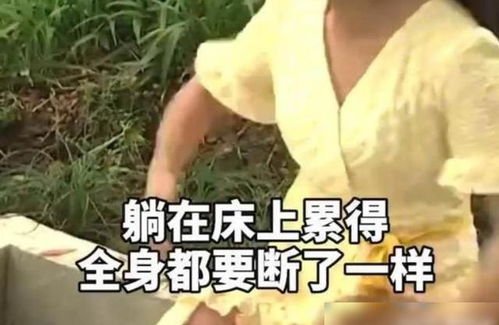 老公不愿意上班怎么办,家庭和谐与职业发展的平衡之道