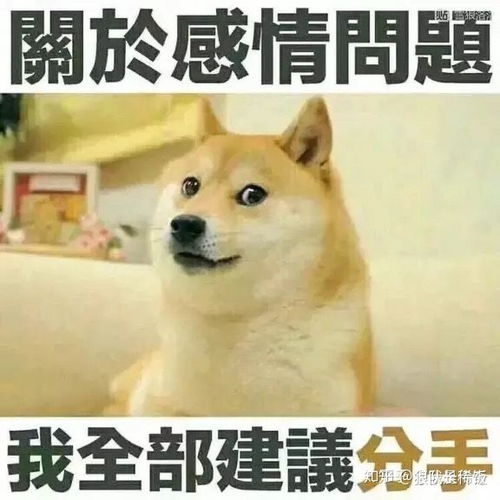 老公不相信你怎么办