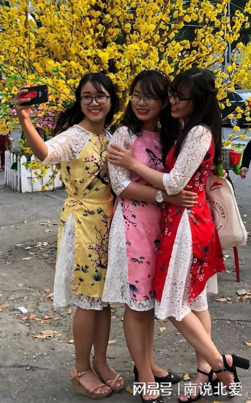 怎么找越南老婆,揭秘如何找到越南心仪伴侣