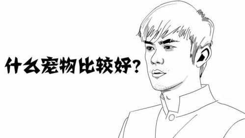 女朋友不要我了怎么办,失恋后的自我救赎与成长之路