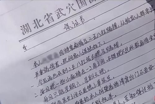 给老公的保证书怎么写,老公的真挚保证书概述