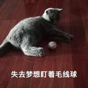 老公砸东西我该怎么办,砸东西后的冷静处理策略