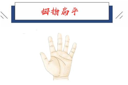 情感四个拇指是什么意思,揭秘拇指背后的心理密码