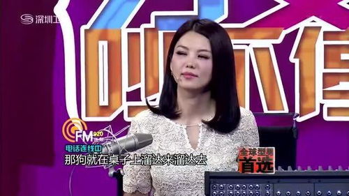 律师最适合做情感主播,以法律视角解读情感困惑