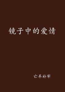 情感如同一面镜子的句子,映照心灵的镜子