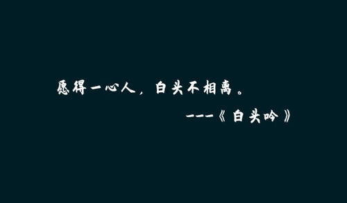 一生爱一人情感句子图片,永恒的爱情誓言