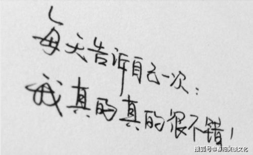 一句话感言情感文案短句,感悟生活的情感短句
