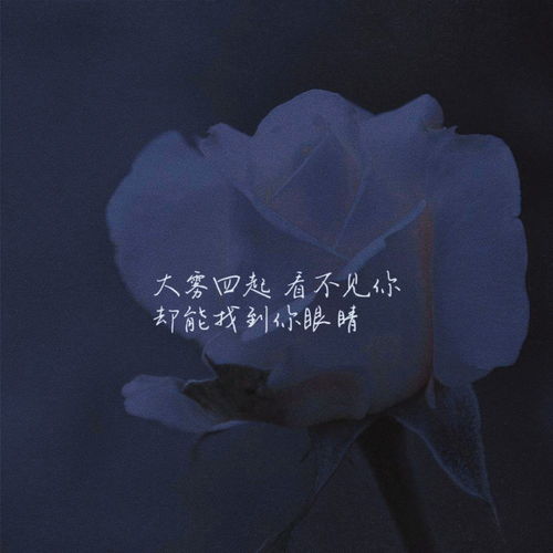 情感心疼一个人文案图片,深情凝望，心疼你的每一个瞬间