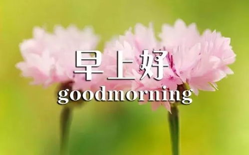 新的一天新的心情感言,每日心语启航篇