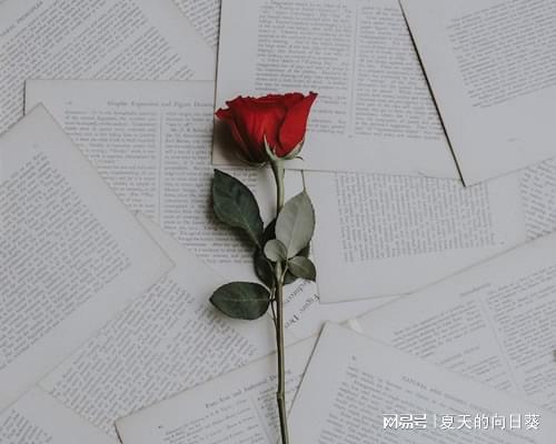 正规的情感挽回机构,重拾爱情,找回幸福之路